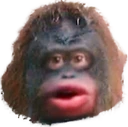 le_monke emote