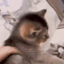 soEepy emote