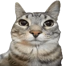 zazu emote
