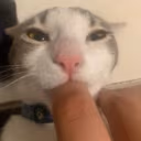 pososun emote