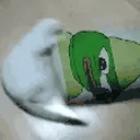 catDankSpin emote