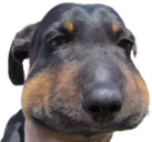 Sigh emote