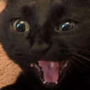 CE_AHHHHHH emote