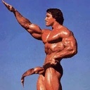 teberyDICK emote