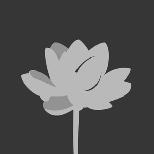 valacejo avatar