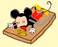 trappedrat emote
