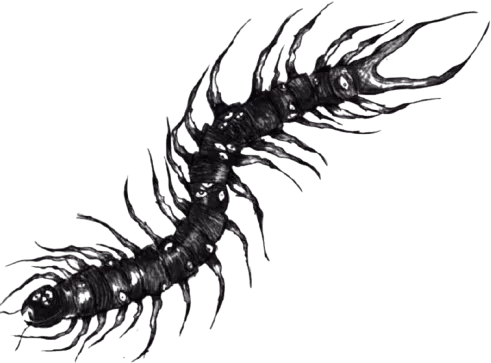 goth_centipede emote