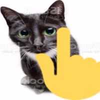 pointingupcat emote