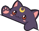 bongocat emote