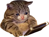 sadcat emote
