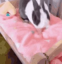 eeper emote