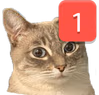 catping emote