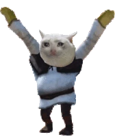 shrek_cryingcat_dance emote