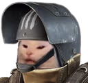 Sir_salad emote