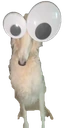 deadahhcuh emote