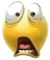 WHAT emote