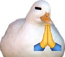 isforpray emote