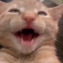 waahoo emote