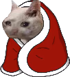 kitty_blanky emote