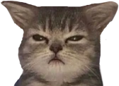 gumpy emote