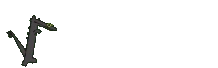 ToothlessParty emote