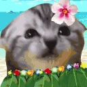 amoreha emote