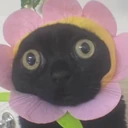 HolyShit emote
