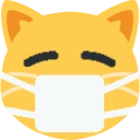 maskCat emote