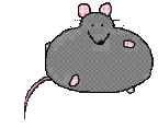 RatRun emote