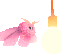 mothHype animated emote