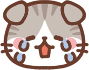 cat_cry emote