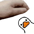 pet_ducky emote