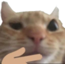 think emote