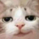 heh emote