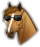 SSO_Cool static emote