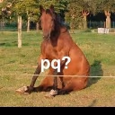 cavalo_pq emote