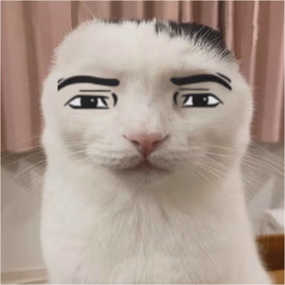ManfaceCat emote