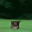 lawnmeower emote