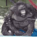 BRUHFAINT emote