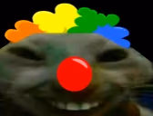 XdClown emote