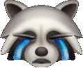 crying_raccoon emote