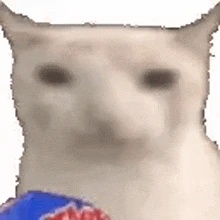 Chips_cat emote