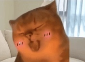 YapapaUmm animated emote
