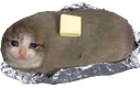 buttercat emote