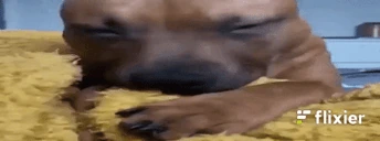 Pofavo emote