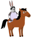 kappachungusonahorse emote