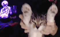 KisikDance