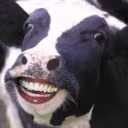 Smiling_cow emote