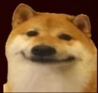 Khush_kutta emote