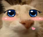 doseuwu emote